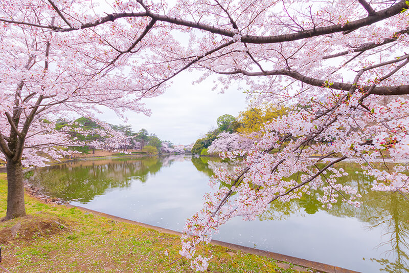 大宮公園