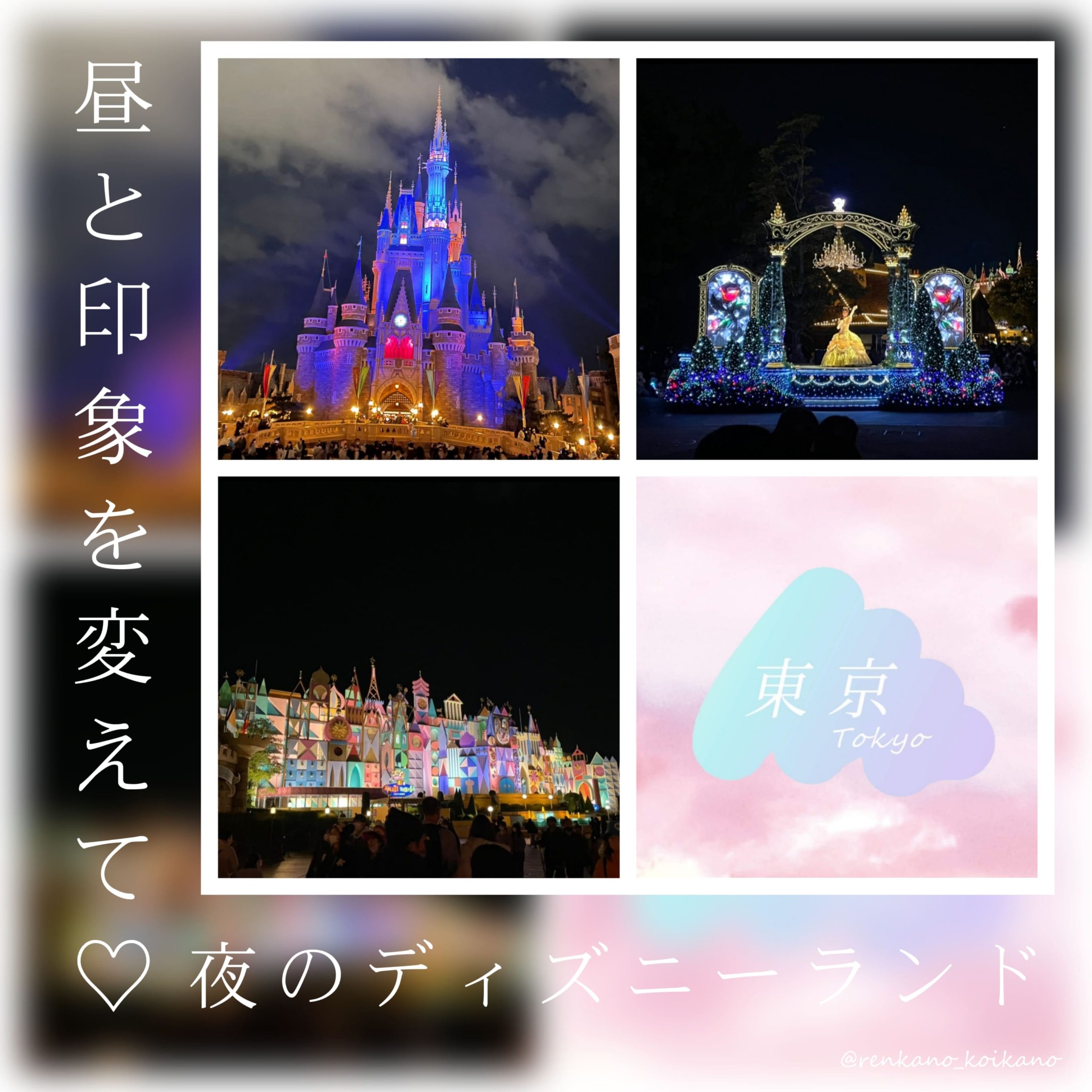 昼と印象を変えて♡夜のディズニーランド