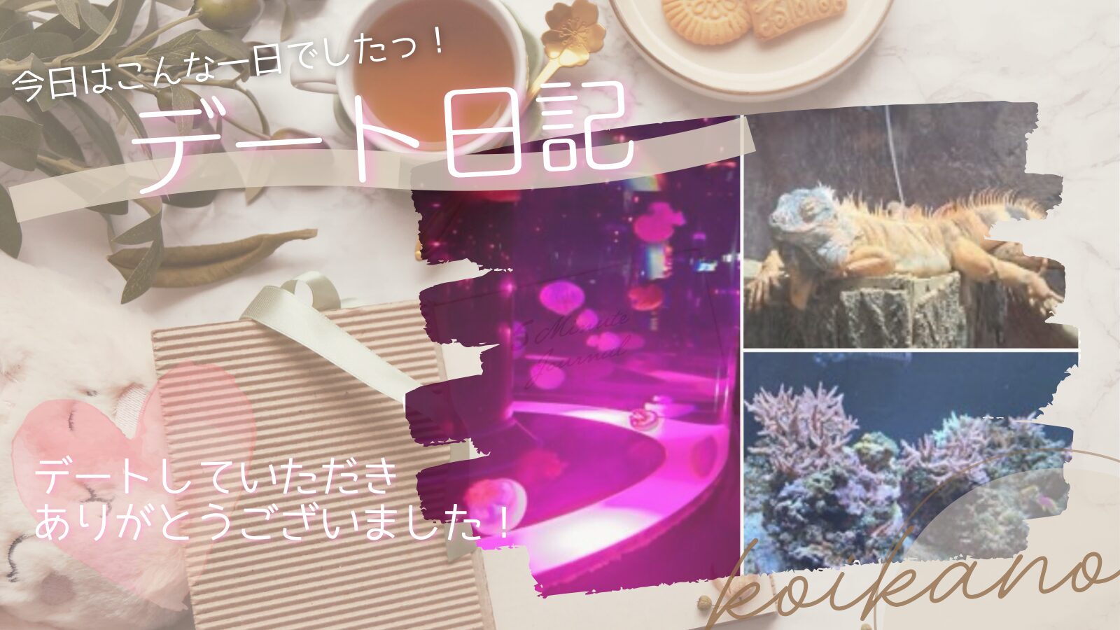 【かわいい海の生き物にときめき♡彼氏様と水族館デート】