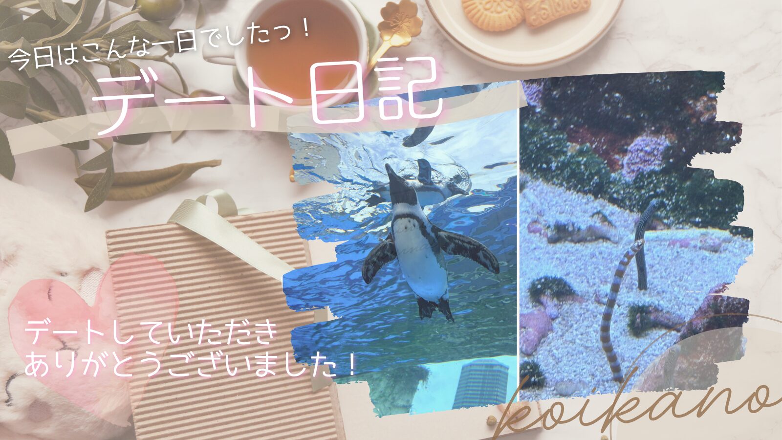 【海の生き物たちに癒される♡水族館でのんびり過ごすデート】